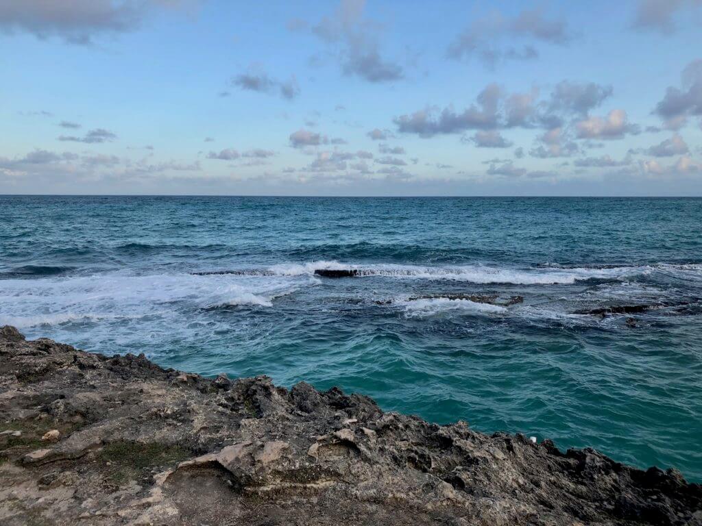The reef at shark hole beach barbados