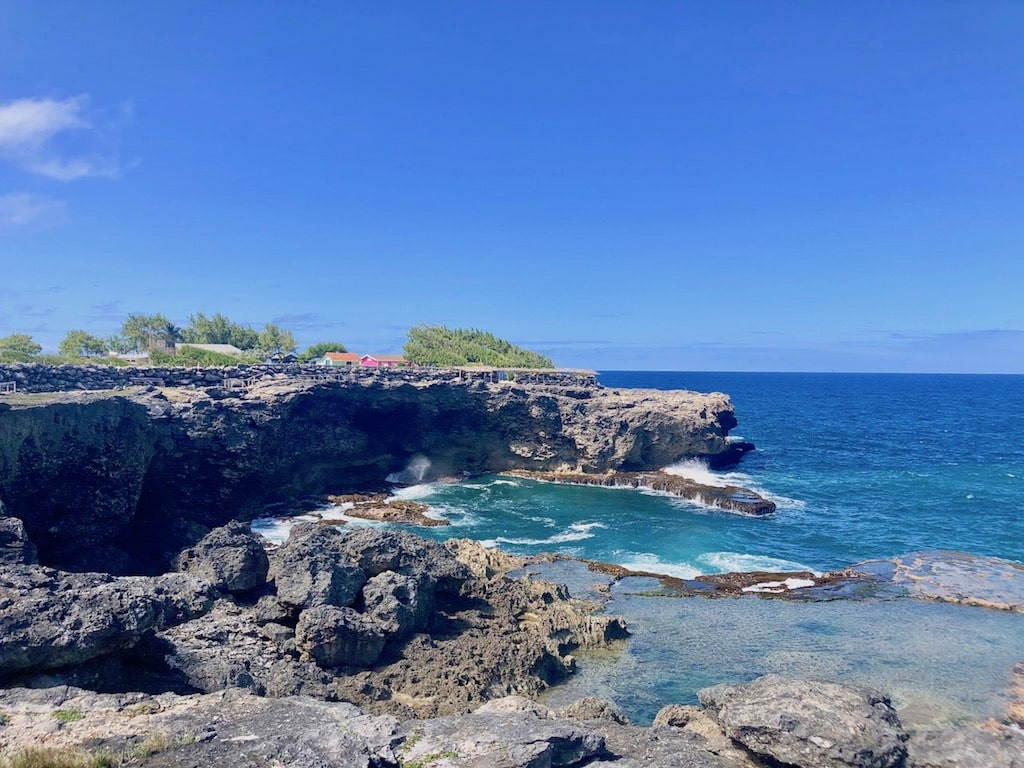 Animal Flower Cave Barbados
