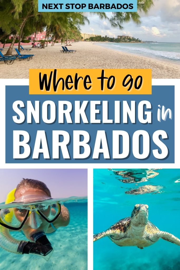Where to go snorkeling in Barbados