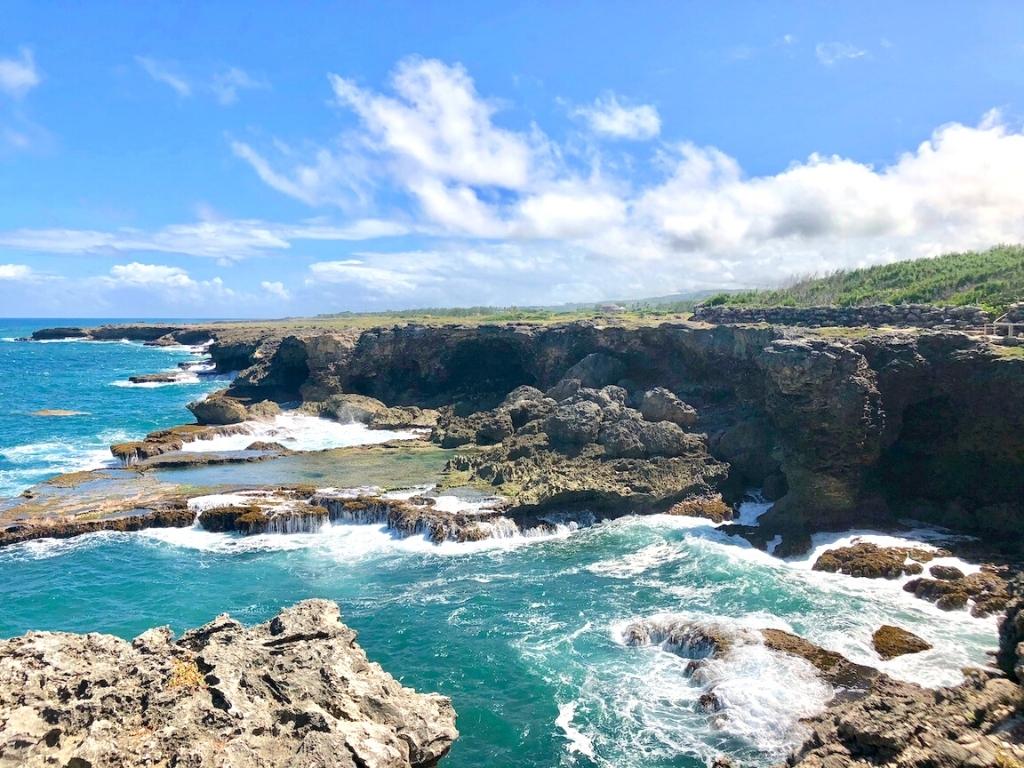 Animal Flower Cave in Barbados