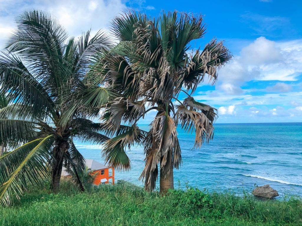 An orange beachfront villa in Barbados overlooking the blue ocean with two palm trees in the foreground