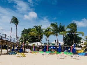 Boatyard Beach Club restaurant, palm trees, and picnic tables