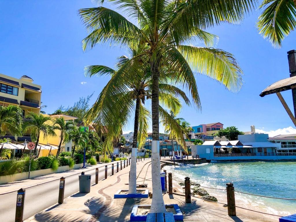 The road leading into St. Lawrence Gap. In the center you can see palm trees and the ocean on the right.