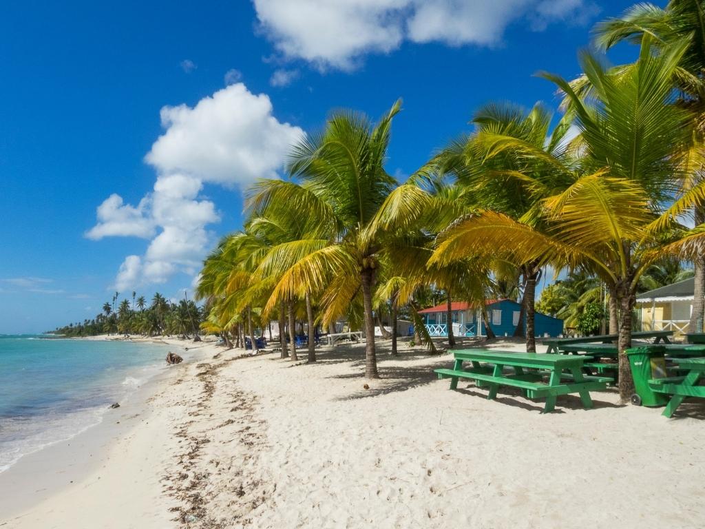 A beach on the west coast of Barbados with green picnic tables and green and yellow palm trees
