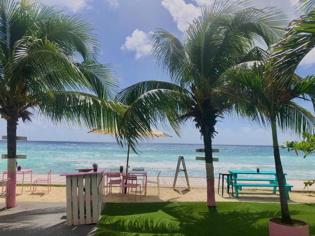 Palm trees over pink and blue tables with the beach in the background at Baby Doll Restaurant Barbados