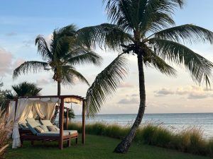 A sun bed under palm trees with a sea view outside Little Arches Boutique Hotel on the South Coast of Barbados