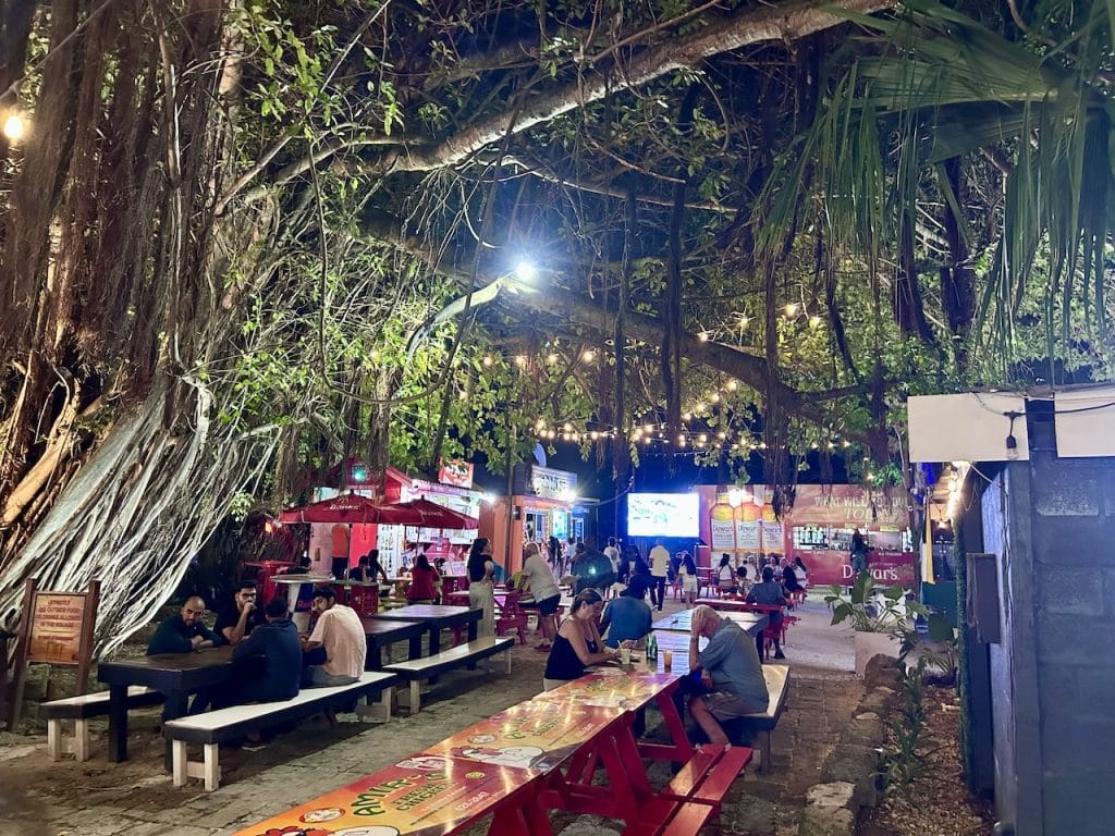 Food trucks under the trees at the Worthing Food Court